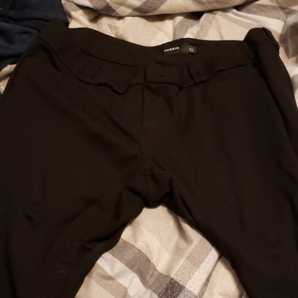 Torrid stretchy pants
